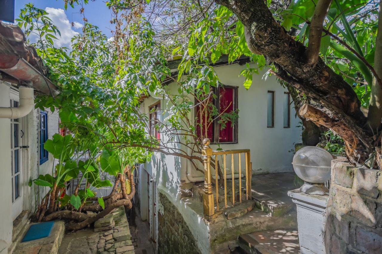 Auberge de jeunesse Botanico *