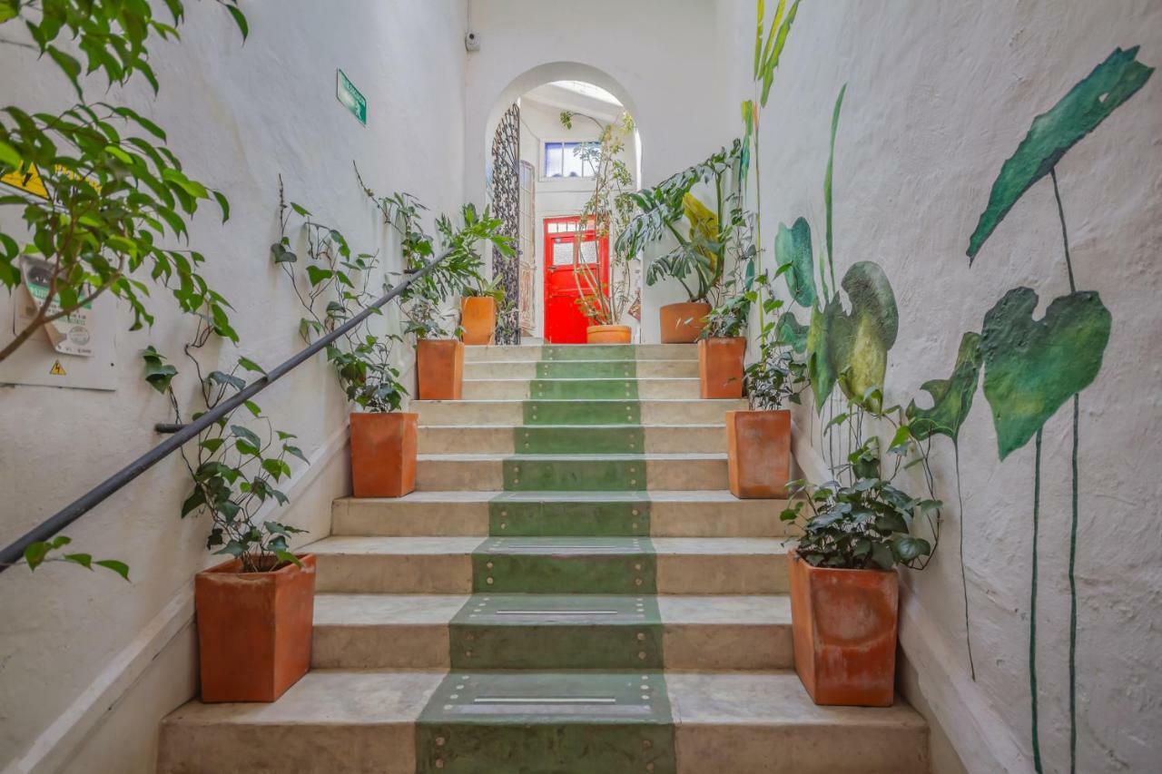 Auberge de jeunesse Botanico