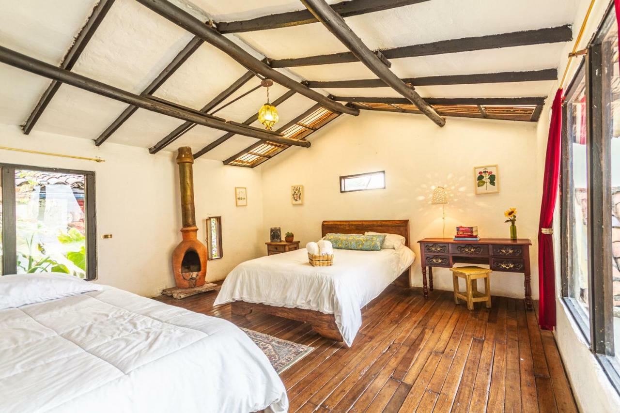 Auberge de jeunesse Botanico *