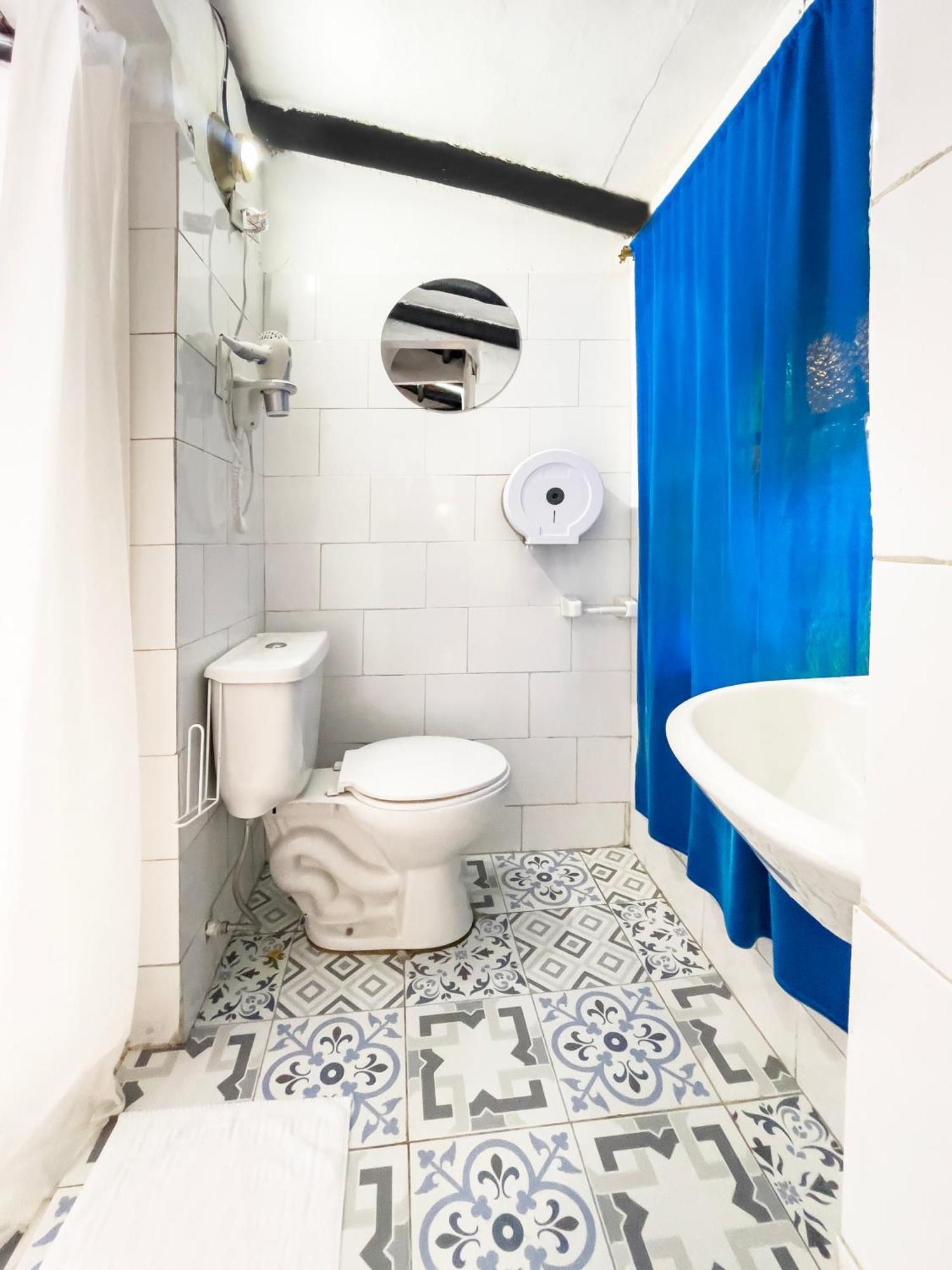 Hostel Botanico
